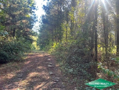 Hwy 313, Stamps, AR 71860 - photo 3