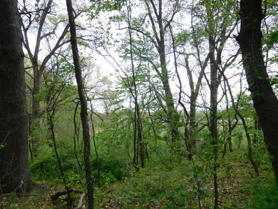 DSCN1401_2514