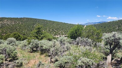 4536 Sarnoff Rd, Fort Garland, CO 81133 - photo 5