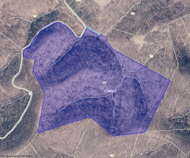 Parcel 22 Little Rowels Run, Creston, WV 26141 - photo 3