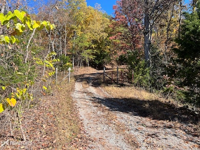 0 Polly Mtn Rd unit 1321445, Madisonville, TN 37354 - photo 4