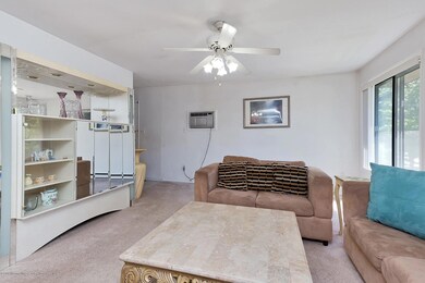 004-274994-IMG_6004_6454309