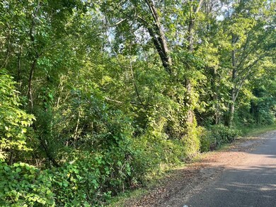 2003 Junior Rd, Franklin Furnace, OH 45639 - photo 7