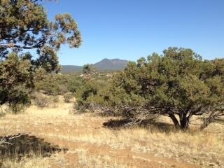 xx Arrowhead Rd, Silver City, NM 88061 - photo 4