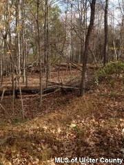 520 Floyd Ackert Rd, New Paltz, NY 12561 - photo 2