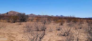 Lot 12/13A East Whitaker Lane