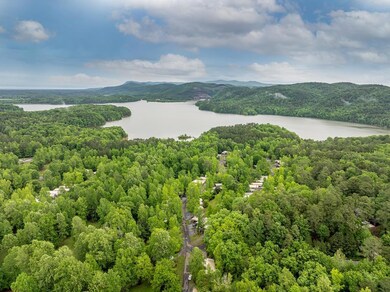 Aerial View of Carters Reregulation Lake