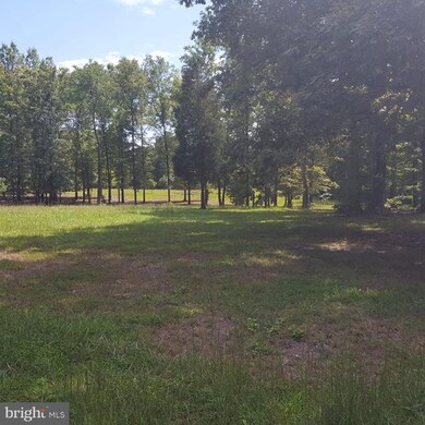 0 Little Egypt Rd unit 1000142775, Orange, VA 22960 - photo 5