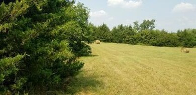 0000 Cr 4230, Bonham, TX 75418 - photo 2