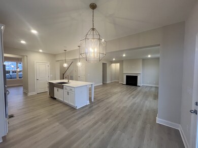 7811 Bear Trace, Fairview, TN 37062 - photo 5