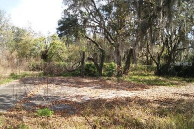 SHOWS CHAIN LINK FENCE WITH VINES