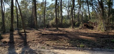 xxx Chippewa Rd, Crawfordville, FL 32327 - photo 5