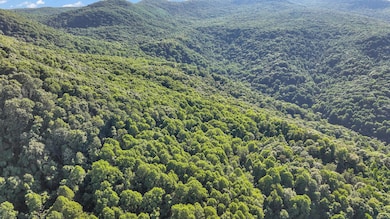 DJI_0234