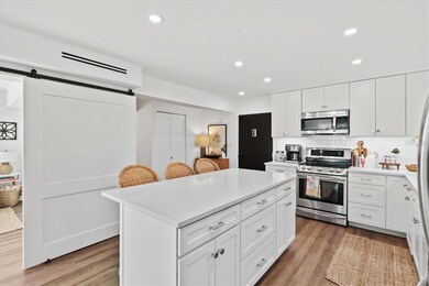 Large Chef's Kitchen