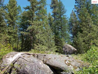 669 Forest Knolls Dr, Sandpoint, ID 83864 - photo 4