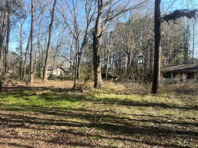 26294 Deer Creek Run, Cleveland, TX 77328 - photo 5