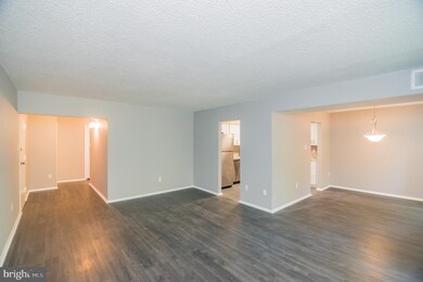 3808 Laramie Place unit A, Alexandria, VA 22309 - photo 7
