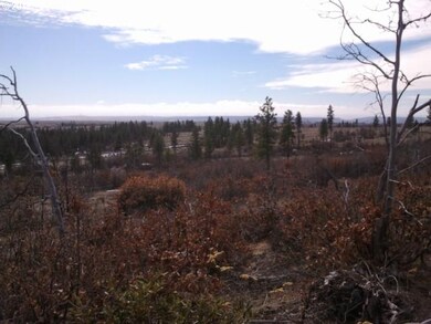 0 Bickleton Hwy unit 17 12542103, Bickleton, WA 99322 - photo 5