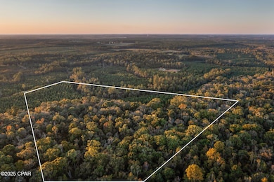 XXX Open Creek Rd unit South Lot, Chipley, FL 32425 - photo 3