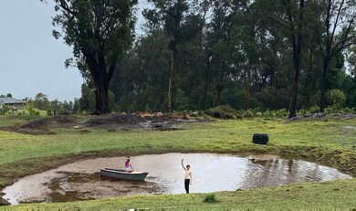 569 Hapapa Rd, Kula, HI 96790 - photo 4