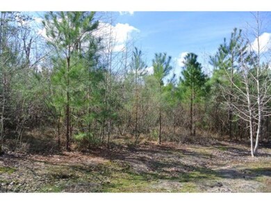 0 Woodland Oaks Dr unit 2190110, Garrison, TX 75946 - photo 2