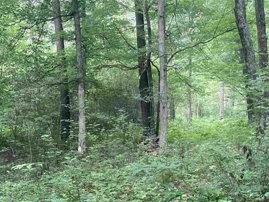 60 Acres 22nd St, Cutler, WI 54618 - photo 5