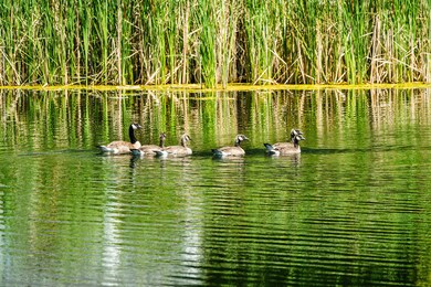TBD Dundee Cove, Sheridan, WY 82801 - photo 4