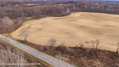 Vl Windsor Hwy, Dimondale, MI 48821 - photo 2