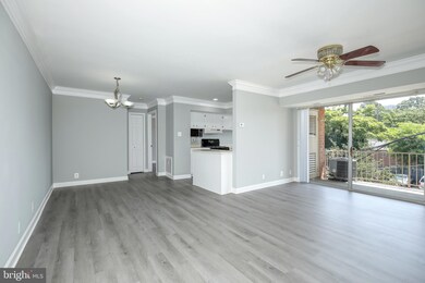 3706 N Rosser St unit 204, Alexandria, VA 22311 - photo 4