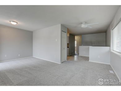 725 Columbine Dr, Windsor, CO 80550 - photo 5