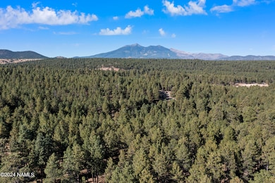 6040 W Saskan Ranch Cir, Flagstaff, AZ 86001 - photo 6