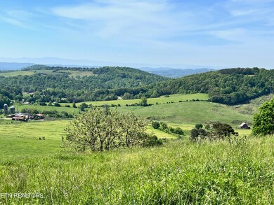 10 Buffalo Springs Rd, Rutledge, TN 37861 - photo 3