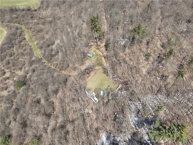 v/l Bunker Hill Rd, Cold Spring, NY 14772 - photo 4