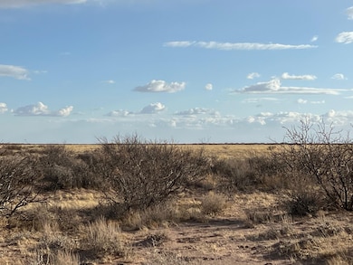 Bahia Rd, Deming, NM 88030 - photo 6