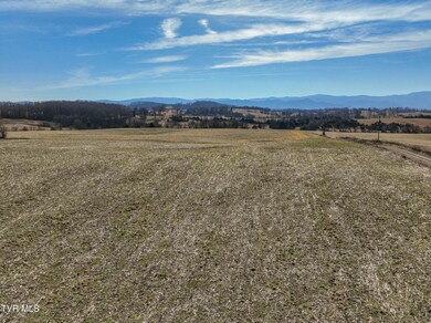 Tbd Old State Route 34, Limestone, TN 37681 - photo 5