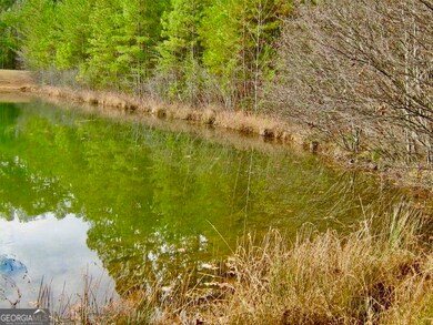 41 Golden Delicious Rd, Clarkesville, GA 30523 - photo 7