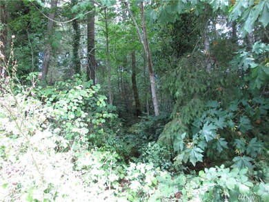 0 80th St SW, Longbranch, WA 98351 - photo 4