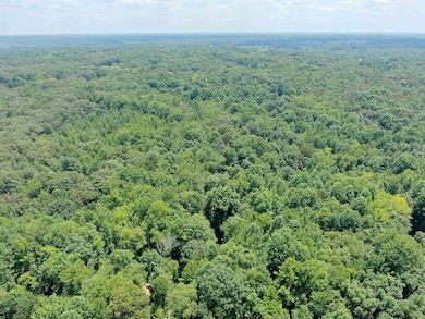 0 Higgs Dr unit 10202821, Somerville, TN 38068 - photo 7