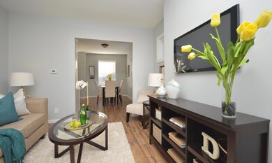 Living Room (4)(1)