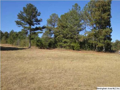 0 County Road 329 unit 16 547705, Wedowee, AL 36278 - photo 7