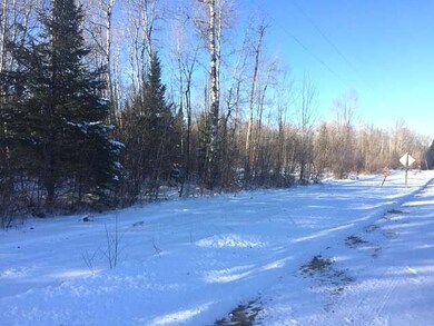ON Phalzgraff Rd, Tomahawk, WI 54487 - photo 5