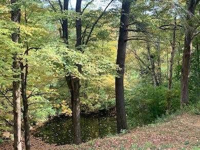 152 Pencil Mill Rd, Castleton, VT 05735 - photo 5