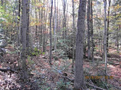 0 Gulf Rd unit 4664695, Chesterfield, NH 03443 - photo 4