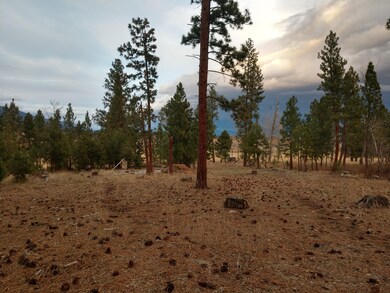 IMG_20211202_162956695_HDR