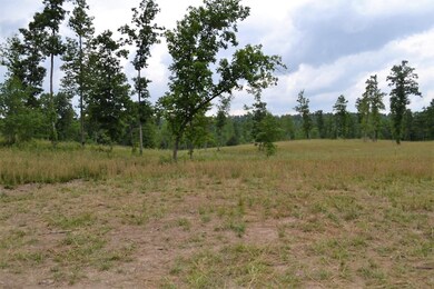 0 Red Williams Rd, Crossville, TN - photo 6