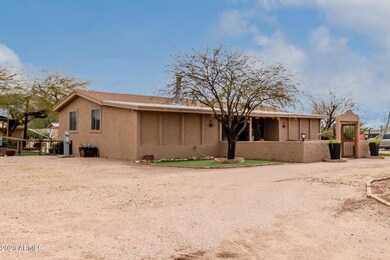 05 Saguaro