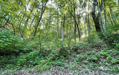 Additional View