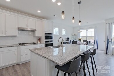 113 Cotton Field Dr, Statesville, NC 28677 - photo 2