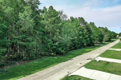 38 Firewood Rd, Huntsville, TX 77340 - photo 3