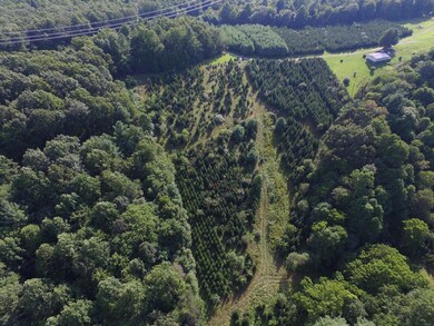 DJI_0015